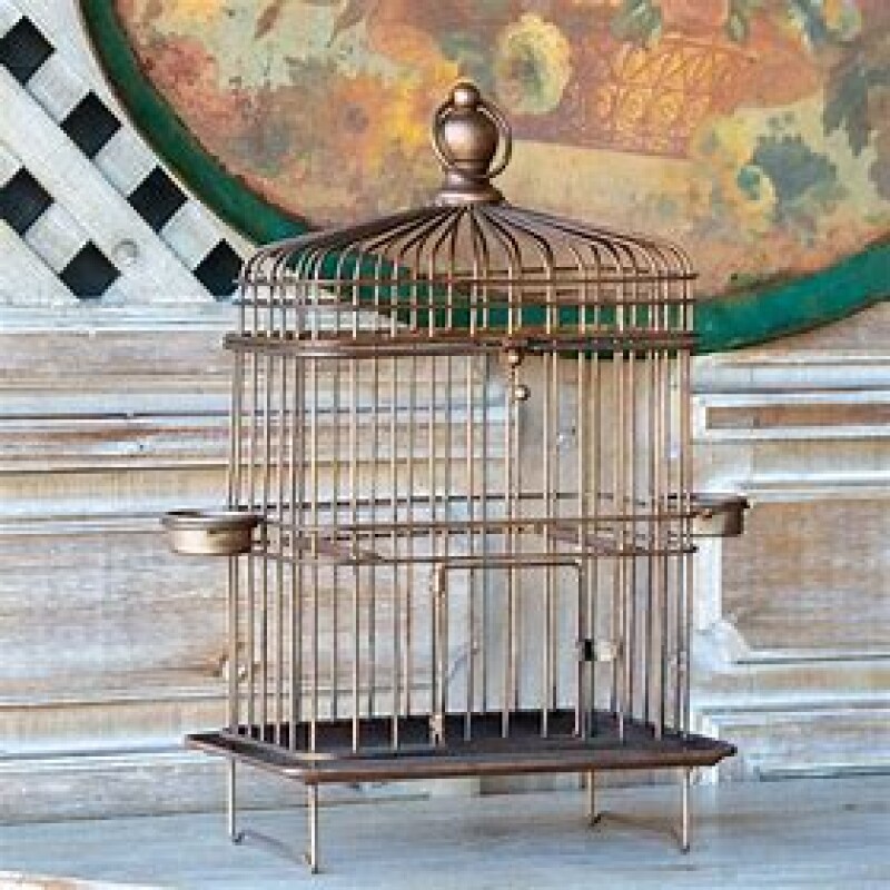 Bird Cage