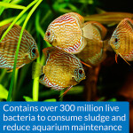 API® Stress Zyme Aquarium Water Conditioner