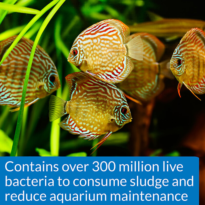 API® Stress Zyme Aquarium Water Conditioner