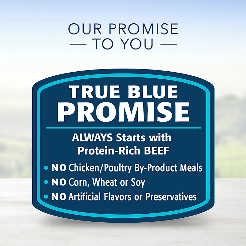 Blue Buffalo® Homestyle Recipe Adult Wet Dog Food - Natural, 12.5 Oz.