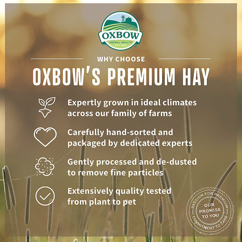 Oxbow Western Timothy Hay
