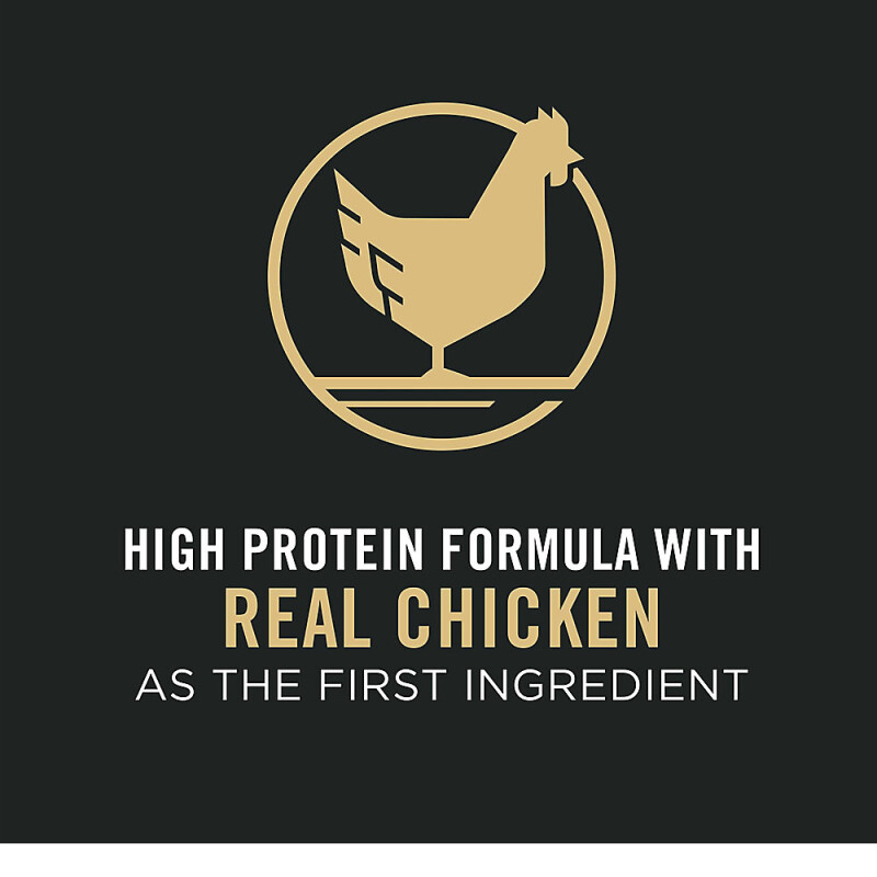 Purina Pro Plan Specialized Large Breed Adult Dry Dog Food - Sensitive Skin & Stomach, Salmon & Rice