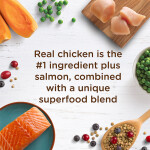 Rachael Ray Nutrish Dry Cat Food Adult - Chicken, Lentils, Salmon