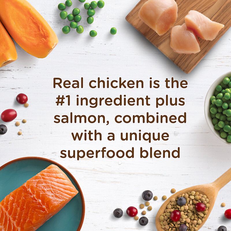 Rachael Ray Nutrish Dry Cat Food Adult - Chicken, Lentils, Salmon