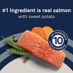 Canidae® Pure™ Adult Dry Dog Food - Limited Ingredient Diet, Salmon