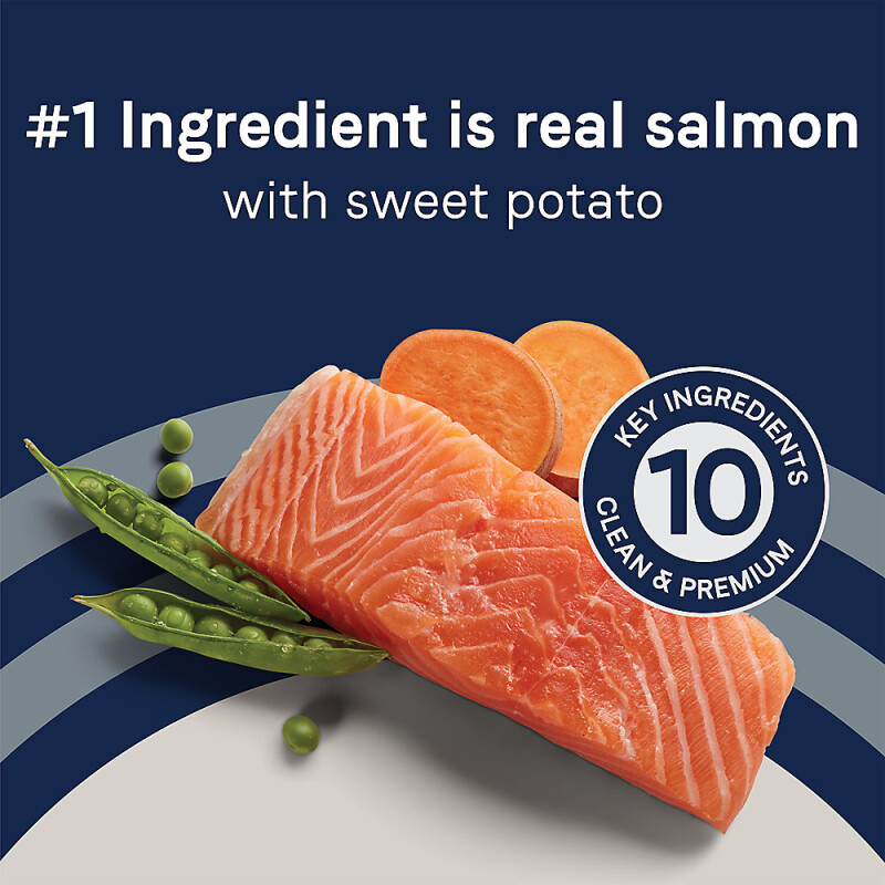 Canidae® Pure™ Adult Dry Dog Food - Limited Ingredient Diet, Salmon