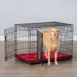 KONG Ultra-Strong Double Door Wire Dog Crate with Divider Panel