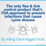 NexGard Chewable Tablets for Dogs 60.1-121 lbs