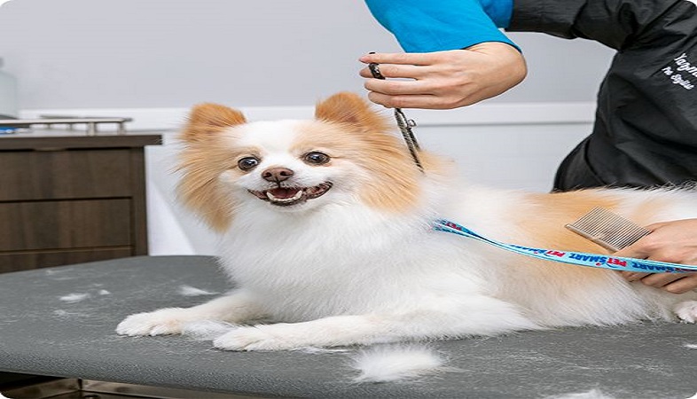 The best Organic Products Online